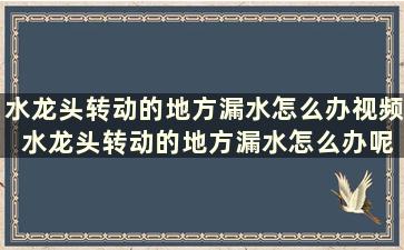 水龙头转动的地方漏水怎么办视频 水龙头转动的地方漏水怎么办呢